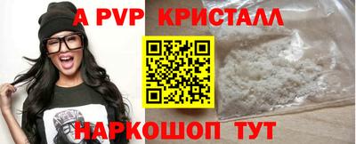 тгк Новозыбков
