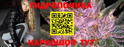 ALPHA-PVP Новодвинск