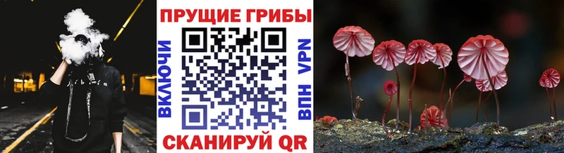 Псилоцибиновые грибы Cubensis  наркотики  гидра сайт  Губкин 