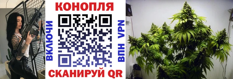Бошки марихуана Ganja  OMG как зайти  Губкин 